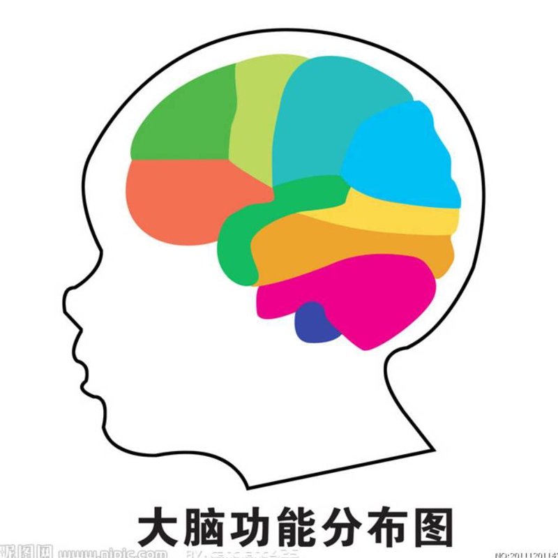 为什么选择北京金豆豆教育集团?