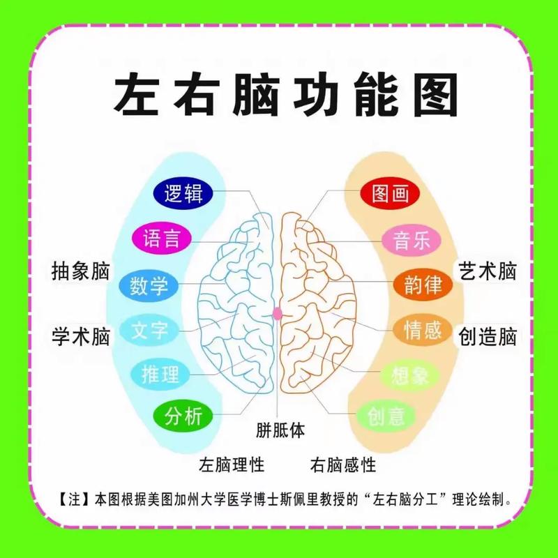 儿童智力开发黄金年龄：家长如何把握关键期