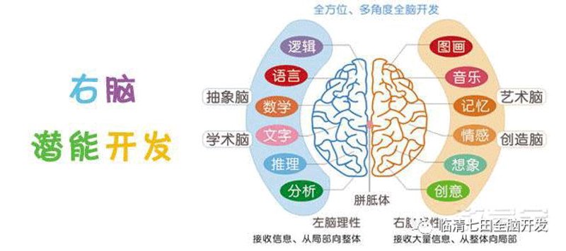 如何有效提升孩子的智力？来看这些智力开发题目及其详细解析！