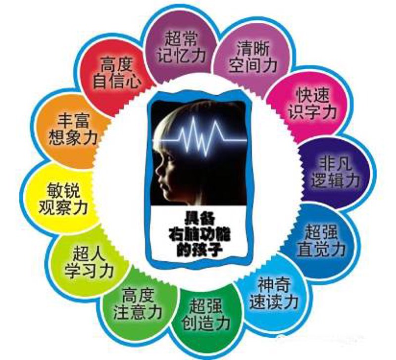 全脑开发