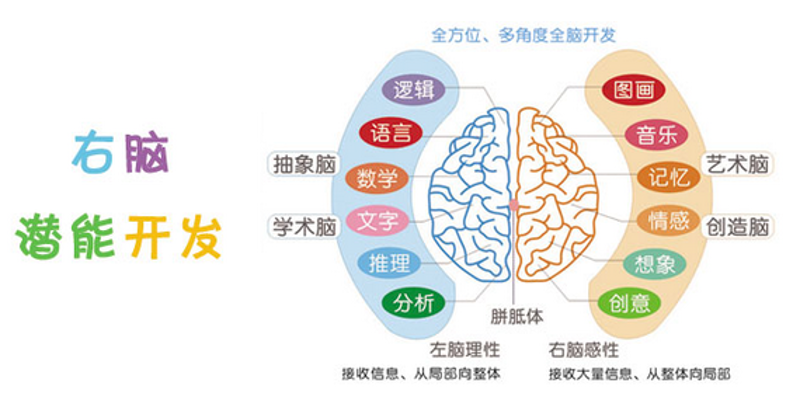 如何高效地选择合适的儿童智力开发工具？——以北京金豆豆儿童智力科技发展中心为例