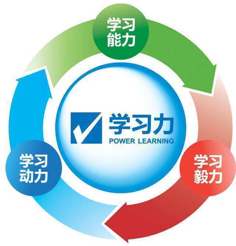 儿童智力开发训练棋盘:打造未来小天才