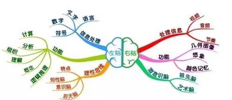 北京中卫医药与“金豆豆”：探索合作新机遇